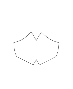 25 Fitted Mask Filters