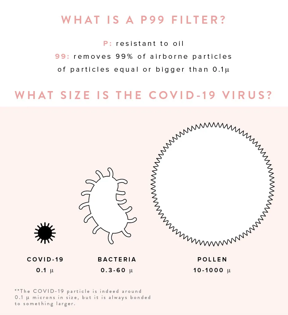 25 Pleated Mask Filters