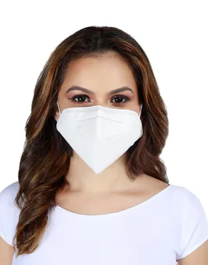 KN 95 Mask